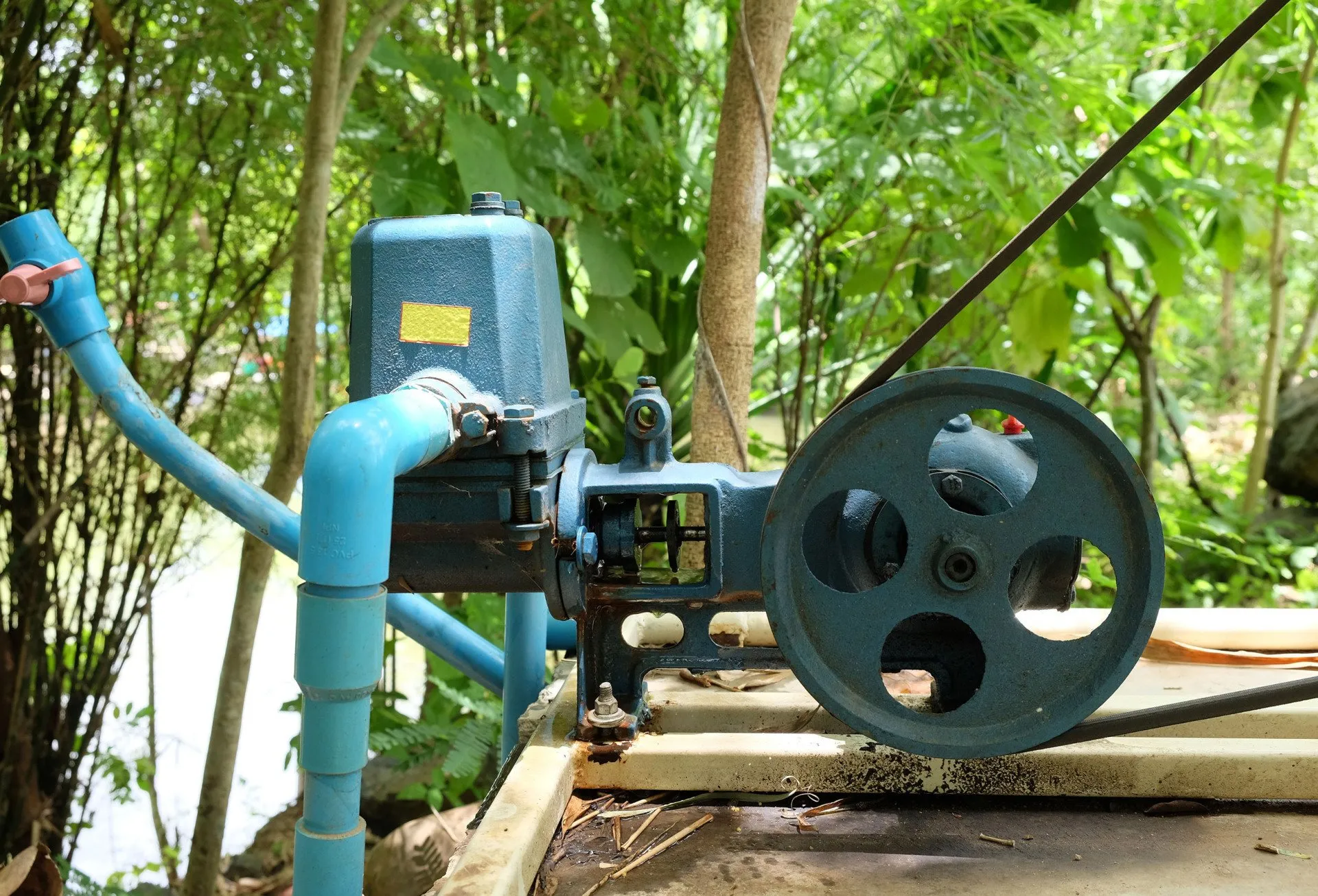 A blue pipe sitting next to a tree.